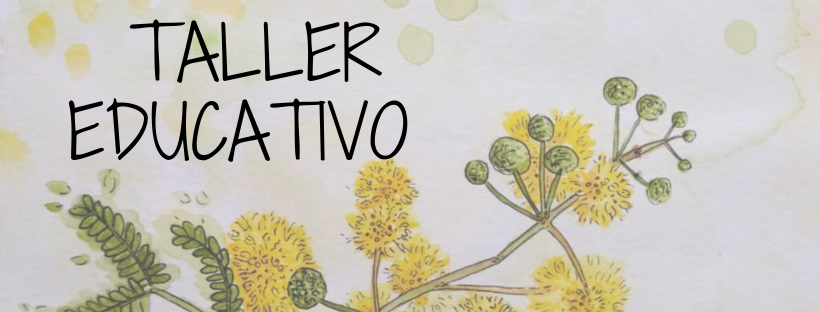 Taller Educativo