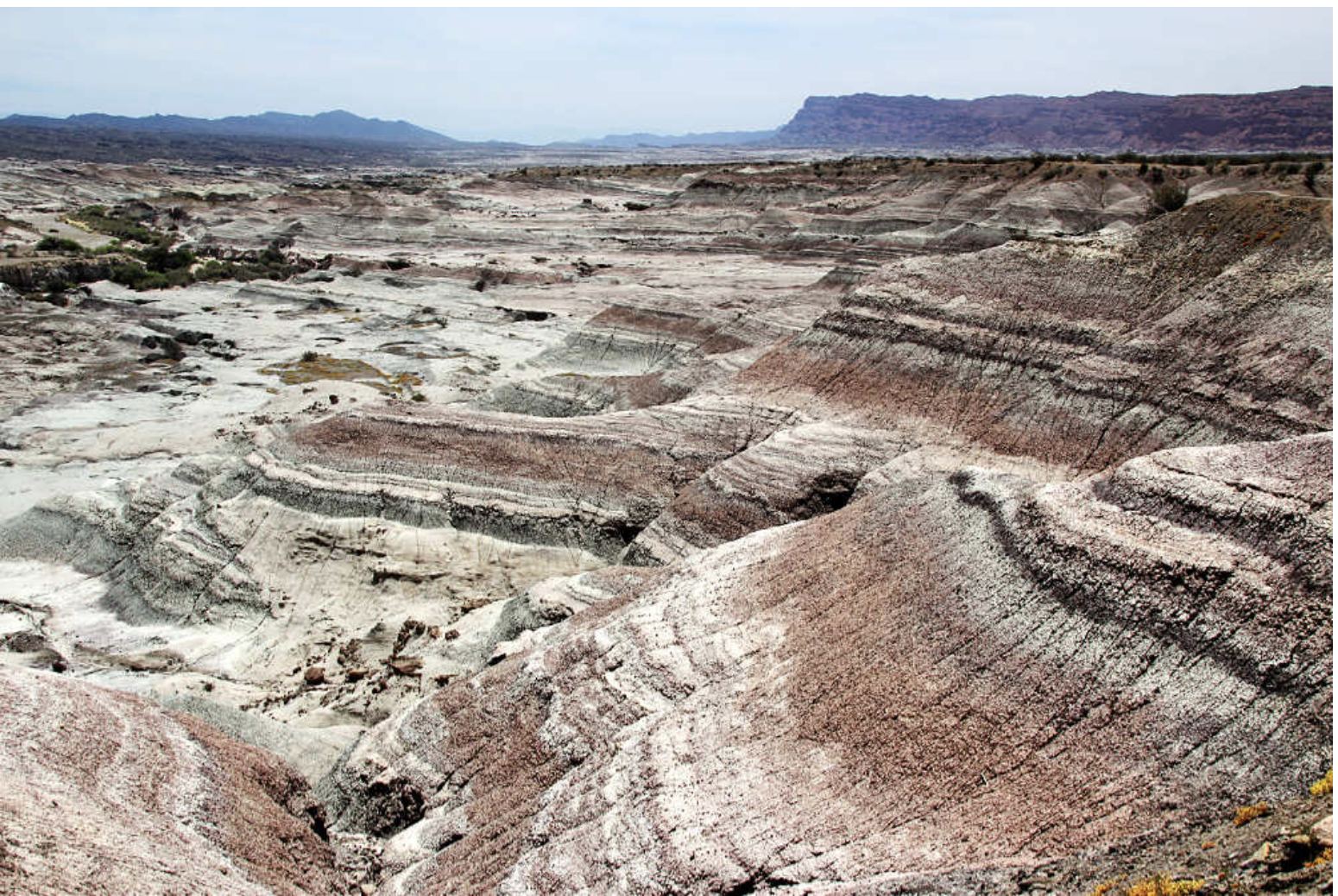 PETROLOGÍA SEDIMENTARIA - SEDIMENTOLOGÍA 2025